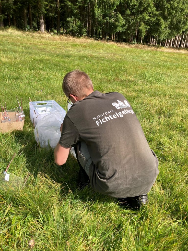Naturpark Fichtelgebirge, Ranger, Gebietsbetreuung
Wissenschaftliche Mitarbeit - Monitoring - Arthropoden