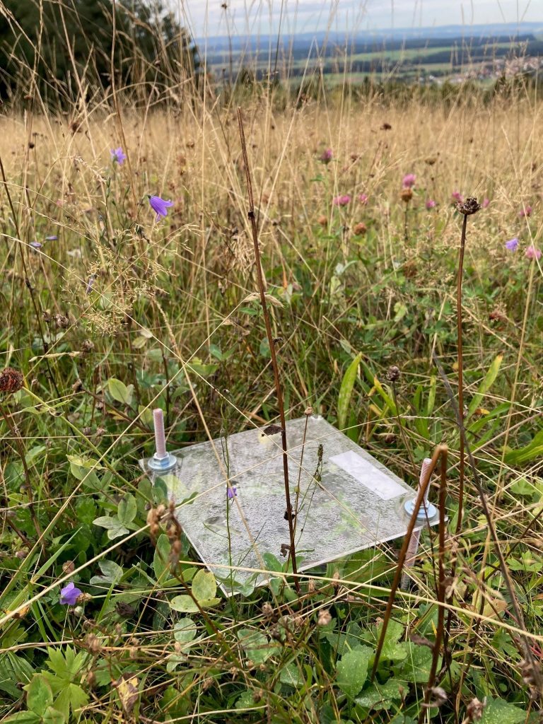Naturpark Fichtelgebirge, Ranger, Gebietsbetreuung
Wissenschaftliche Mitarbeit - Monitoring - Arthropoden