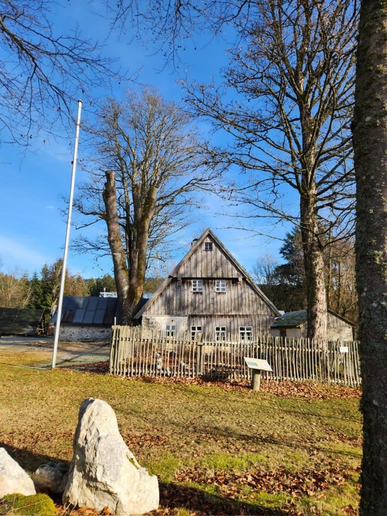 Baumpflege Freilandmuseum Grassemann