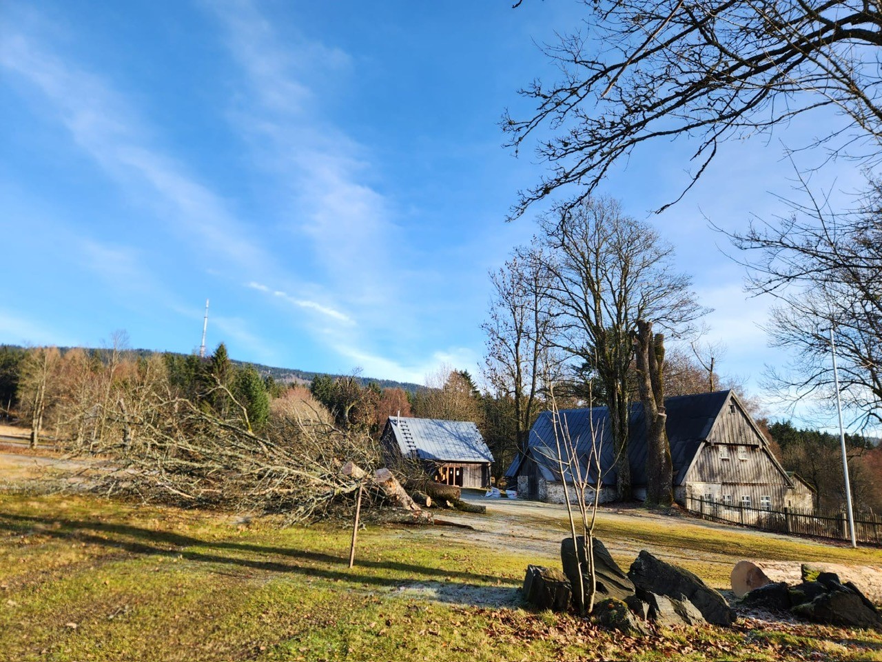 Baumpflege Freilandmuseum Grassemann